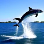 How to Draw a Dolphin Jumping Out of the Water: A Comprehensive Guide